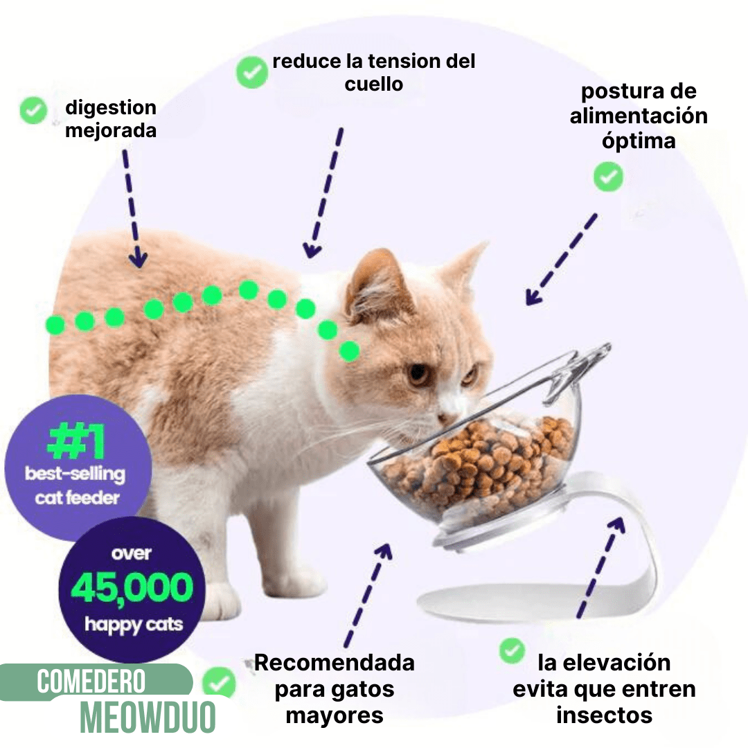 comedero DOBLE soporte para Alimentación meowduo🐈