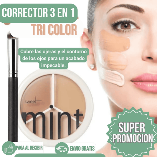 ✅corrector 3 en 1 tri color🎨