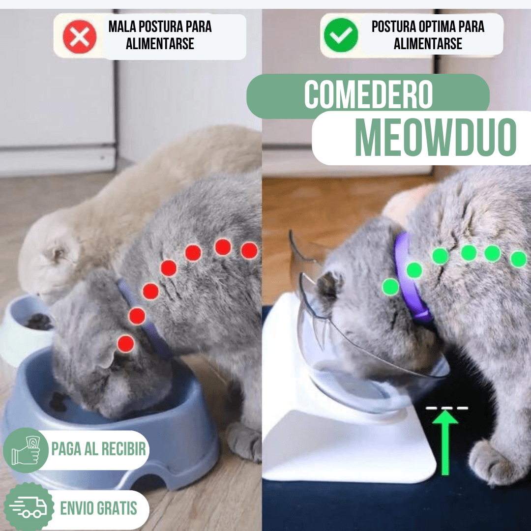 comedero DOBLE soporte para Alimentación meowduo🐈