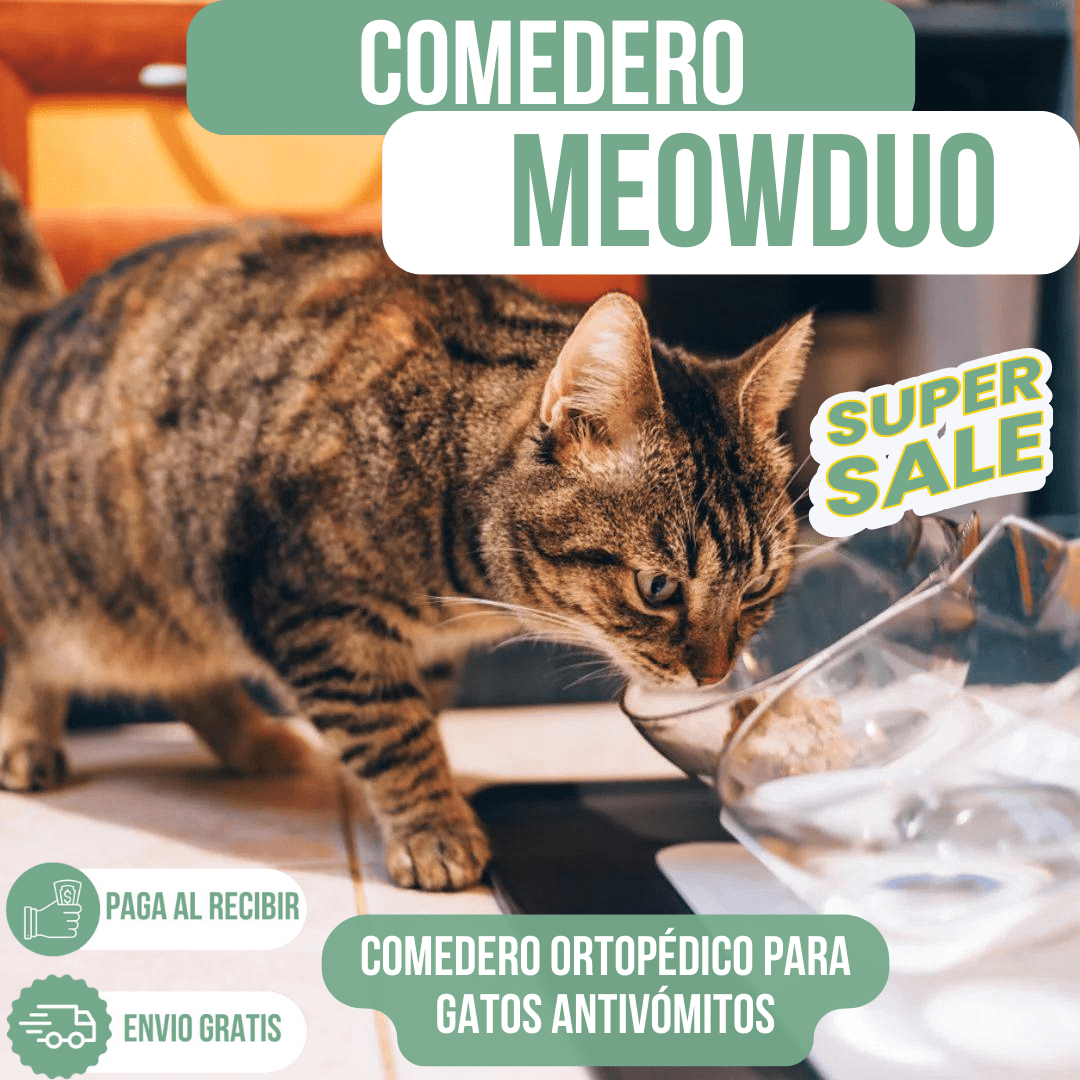 comedero DOBLE soporte para Alimentación meowduo🐈