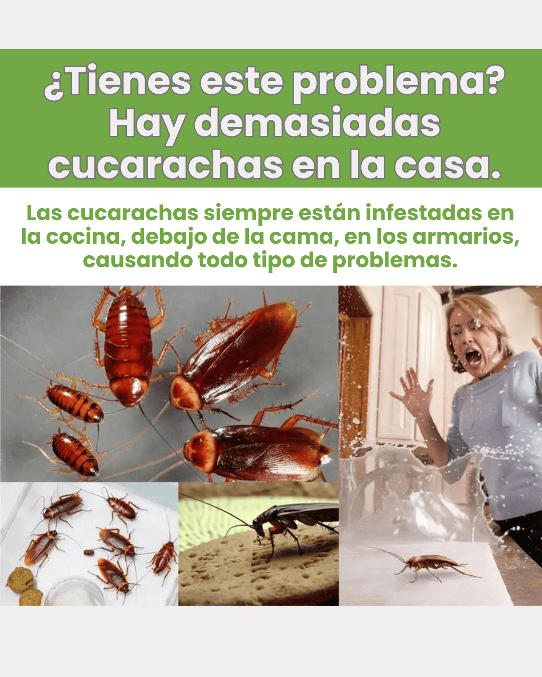 🪳RoachEnder™ cebo para cucarachas×12