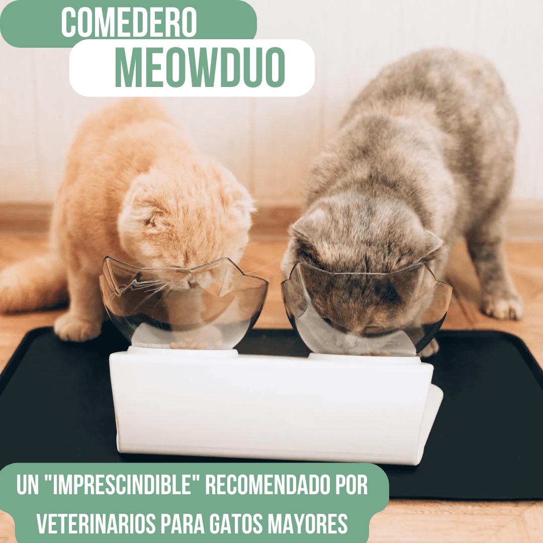 comedero DOBLE soporte para Alimentación meowduo🐈